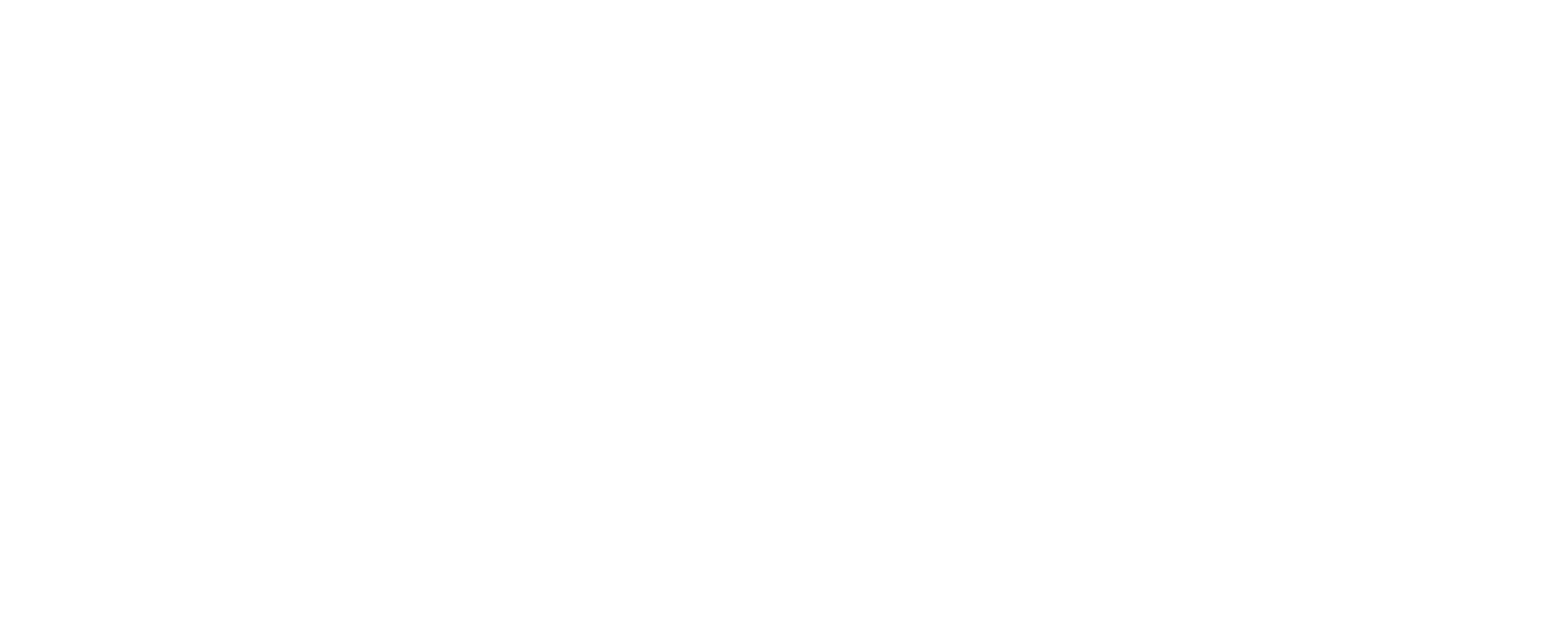 VesuMarine